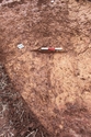 Thumbnail of Trench 5,ditch 502 looking north west