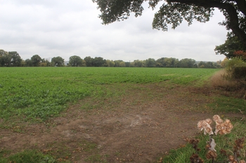 Land North of Arden Forest Industrial Estate, Alcester, Warwickshire. Archaeological Evaluation (OASIS ID: cotswold2-251473)
