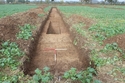 Thumbnail of Trench 21 looking N