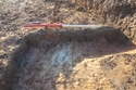 Thumbnail of Ditch 1710 looking W