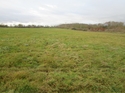Thumbnail of Field 1, the area stripped for the access track looking north-west