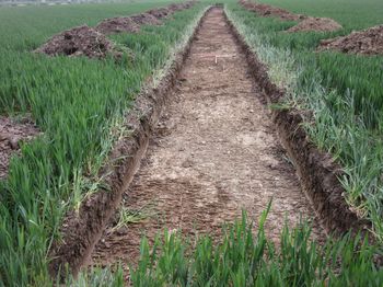 Archaeological Evaluation of Land at Halton Lane, Weston Turville, Buckinghamshire (cotswold2-270794)