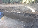 Thumbnail of Wide angle shot of trench
