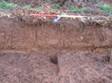 Thumbnail of Picture 032 pit 1105 and 1107 looking SE