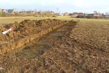 Wainlode Lane, Norton, Gloucestershire. Archaeological Evaluation (OASIS ID: cotswold2-289350)