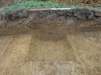 Land East of Fenny Road, Stoke Hammond, Buckinghamshire. Archaeological Evaluation (OASIS ID: cotswold2-293906)