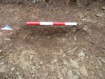 Image from Roborough Solar PV Array, Roborough, Devon. Archaeological Evaluation (OASIS ID: cotswold2-316757)