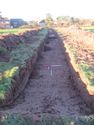 Thumbnail of Trench 2 looking N