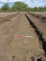 Thumbnail of Example of furrows Trench 15 looking north