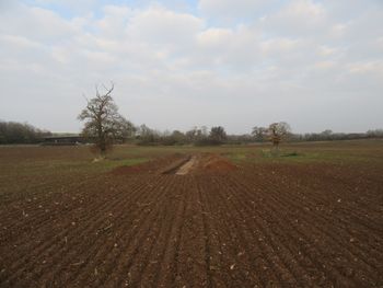 Land at Junction 24 East, Bridgwater, Somerset. Archaeological Evaluation (OASIS ID: cotswold2-350874)
