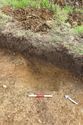 Thumbnail of Plough scar in trench 8 looking NE