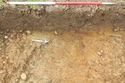 Thumbnail of W facing shot of ditch 303