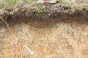 Thumbnail of SW facing shot of ditch 702