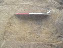 Thumbnail of SE facing shot of ditch 1006