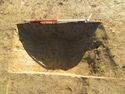 Thumbnail of SE facing shot of ditch 1008