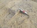 Thumbnail of E facing shot of ditch terminus 1012