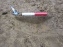Thumbnail of SW facing shot of posthole 1018