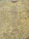 Thumbnail of E facing shot of ditch 1028 and terminus 1030