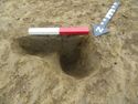 Thumbnail of SE facing shot of posthole 1050