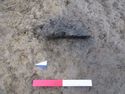Thumbnail of E facing shot of pit 1052