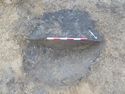 Thumbnail of SW facing shot of pit 2004 #2