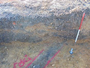 Land off Anglesea Road, Shirley, Southampton: Evaluation and excavation (OASIS ID: cotswold2-381353)