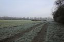 Thumbnail of General field shots showing trench 4 looking NE