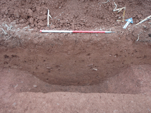 Image from Tithebarn Green, Monkerton, Devon: Archaeological Evaluation