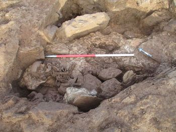 Land North of Gloucester Road, Tutshill, Gloucestershire. Archaeological Excavation.