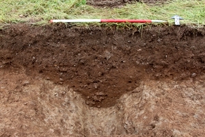 Image from Land off Station Road, Tamerton Foliot, Devon. Archaeological Evaluation.