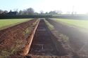 Thumbnail of General shot of trench 15, looking NE