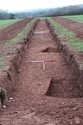 Thumbnail of General shot of trench 17, looking NW