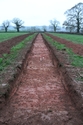 Thumbnail of General shot of trench 2, looking SW