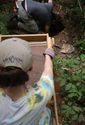 Thumbnail of Volunteers and staff excavate at OCPP