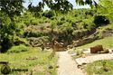 Thumbnail of Langara Archaeology Field School 26 July 2013
