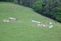 Thumbnail of Fieldwork in the beautiful Forest of Bowland.