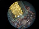 Thumbnail of scottish gold and garnets