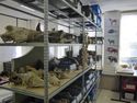 Thumbnail of Osteological comparison collection