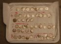 Thumbnail of Bitterley Hoard - The Coins 2