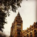 Thumbnail of Natural History Museum