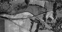 Thumbnail of Aerial photograph of meadows at Mavisbank. Copyright NCAP