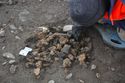 Thumbnail of Dégagements de fragments de terre cuite à empreintes de clayonnage qui constituaient le dôme d’argile qui s’est effondré d’un four du Néolithique moyen. © Carine Muller-Pelletier, Inrap