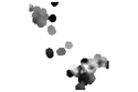 Thumbnail of CombinedPleistocene 