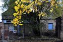 Thumbnail of Boiler house and southern engine house, south gables, looking N