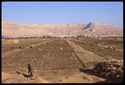 Thumbnail of Fields after wheat harvest. Upper Egypt, uncertain location. <br  />(<b>Filename:</b> nq_ads_264.jpg)