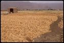Thumbnail of Fields after harvest. Upper Egypt, uncertain location. <br  />(<b>Filename:</b> nq_ads_266.jpg)