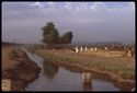 Thumbnail of Fields alongside a canal: men threshing with sticks. Upper Egypt, uncertain location. <br  />(<b>Filename:</b> nq_ads_267.jpg)