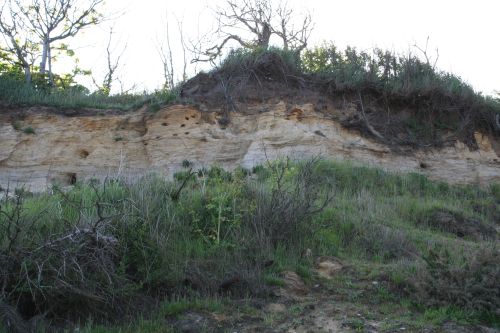 View of cliff erosion at Dunwich