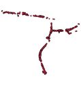Thumbnail of ExcavEastKentFinds 