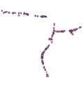 Thumbnail of ExcavEastKentSamples 